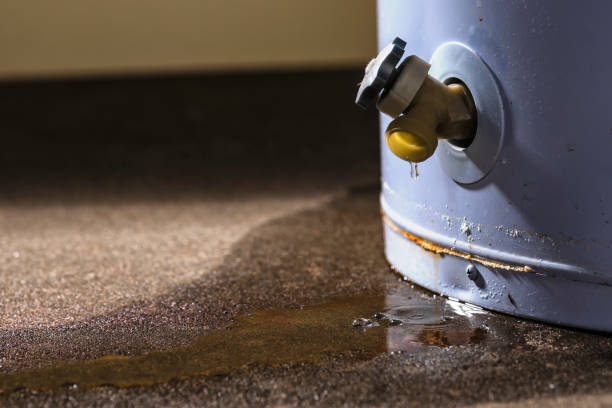 Best Carpet water damage restoration  in Point Roberts, WA