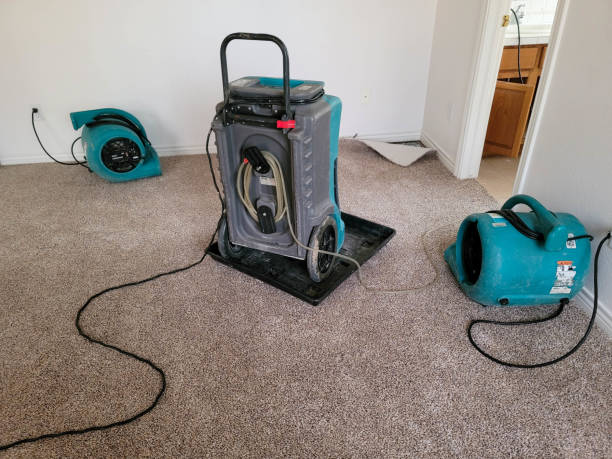 Best Water damage restoration cost  in Point Roberts, WA