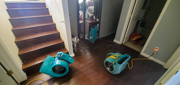 Best Carpet water damage restoration  in Point Roberts, WA