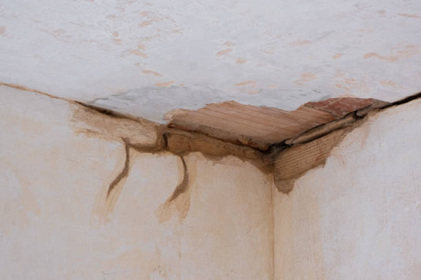 Best Residential water damage restoration  in Point Roberts, WA
